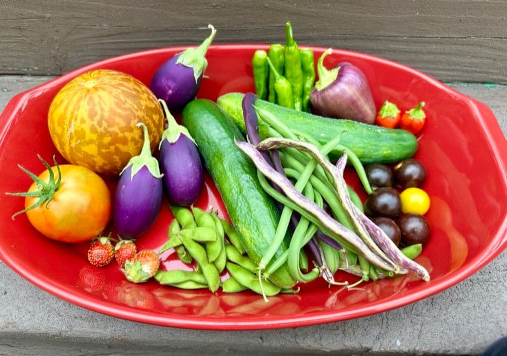 A plate of freshly picked garden produce ready for the kitchen